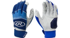 Rawlings Workhorse Batting Gloves -Fitness&Training Equipment 17RAWADLTWRKHRSBGBTG Royal 25605.1596125315