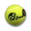 Eye Coach Replacement Ball -Fitness&Training Equipment BJK Ball trans square 38382.1606796398