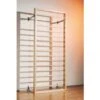 Wall Bars With 16 Rungs -Fitness&Training Equipment P7641 00 ecommerce