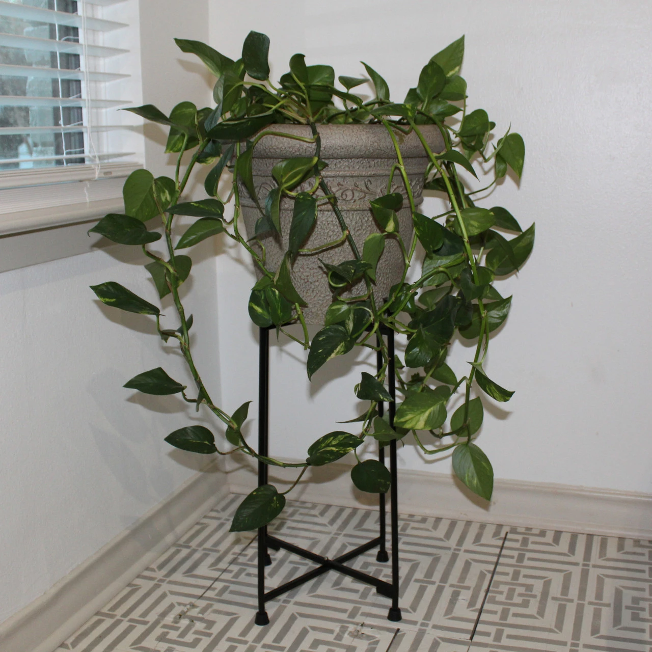 HandiStand 7 HandiStand - Image 5