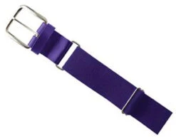Champro MVP Belt -Fitness&Training Equipment youth mvp leather baseball belts purple 18943.1595096221